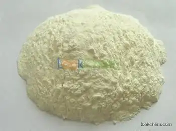 Potassium hydroxide CAS NO.1310-58-3