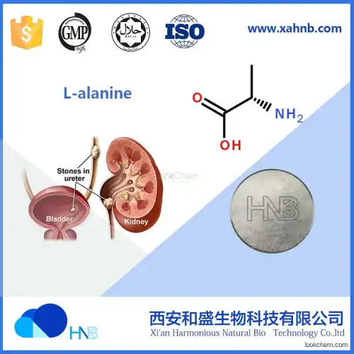 Top Quality 99% beta-Alanine β-Alanine manufacture