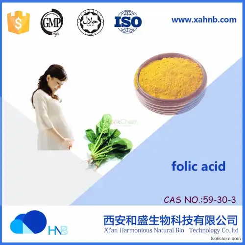 High Quality Vitamin B9/folic acid  Powder