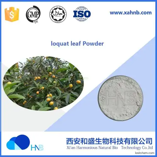 Factory supply High Quality Loquat leaf Extract Ursolic Acid  Powder
