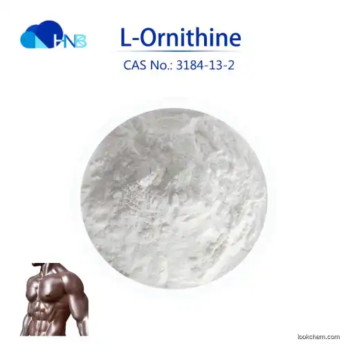 L-Ornithine HCL