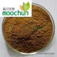 korean red ginseng extract powder