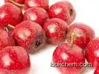 Hawthorn Berry Extract /Hawthorn Extract