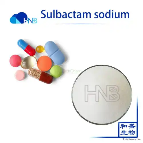 Best Price Provide Sulbactam Sodium in bulk powder with CAS 69388-84-7