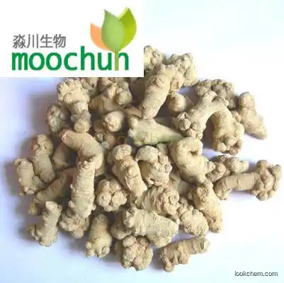 Radix Notoginseng leaf Extract