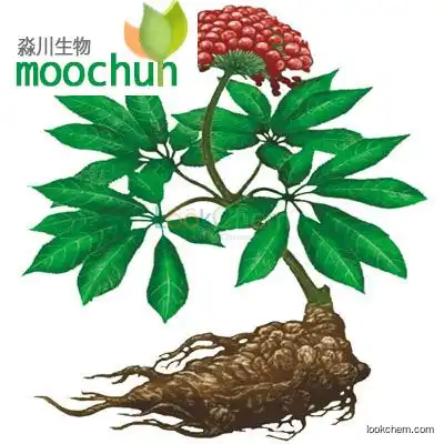 Radix Notoginseng Root Extract