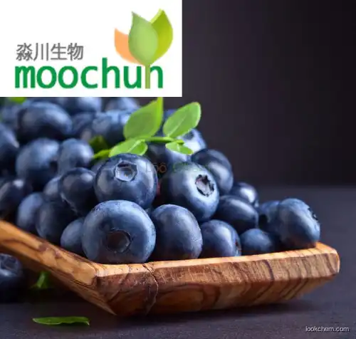 Blueberry fruit powder 84082-34-8