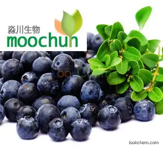 Blueberry fruit powder 84082-34-8