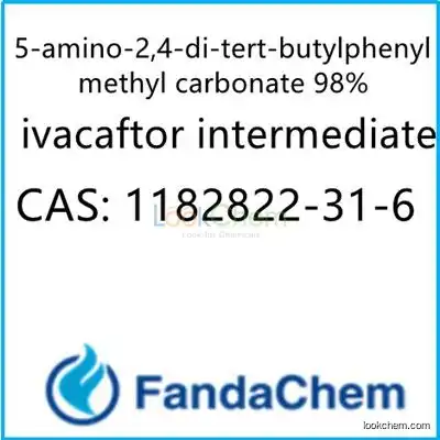 5-amino-2,4-di-tert-butylphenyl methyl carbonate 98% (ivacaftor intermediate)  CAS: 1182822-31-6 from FandaChem