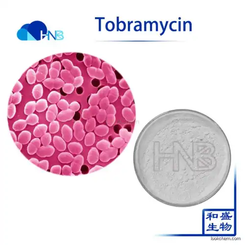 Factory supply Antibiotic API 98% Tobramycin Powder CAS 32986-56-4