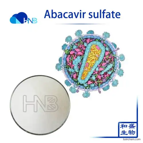 Factory supply top quality USP grade Abacavir Sulfate 188062-50-2