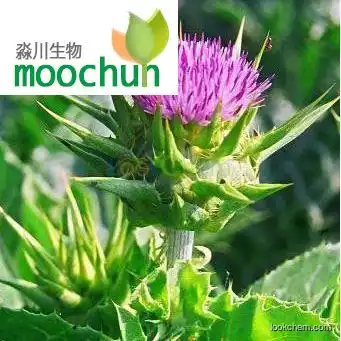 Milk Thistle Extract 80% silymarin (UV-VIS)