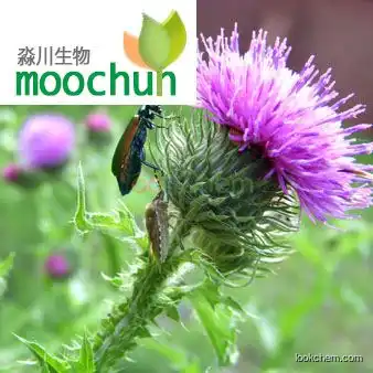 Milk Thistle Extract 80% silymarin (UV-VIS)