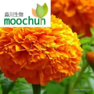 Marigold extract feed grade