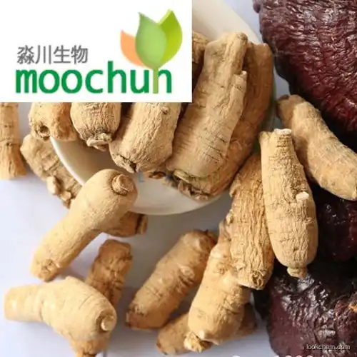 American ginseng root extract 4%~20%