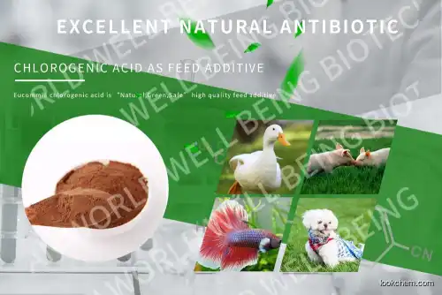 Animal Antibiotic Replacement - Eucommia Leaf extract 5% Chlorogenic Acid