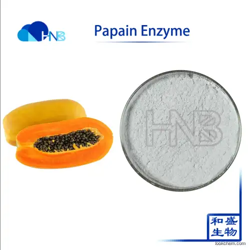 Hot Product High Activity Papain Enzyme