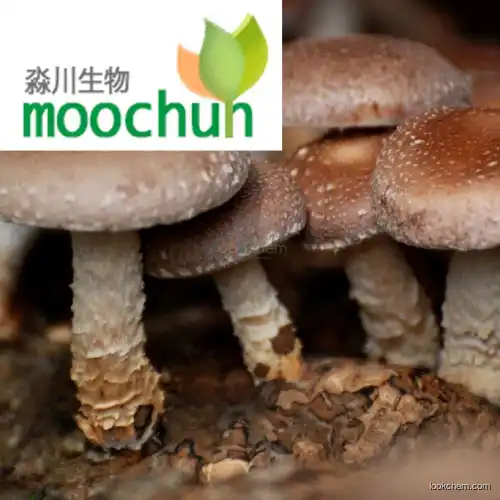 Natural mushroom extract