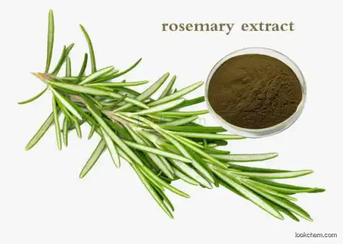 20% 30% rosmarinic acid rosemary extract Rosemary leaf Rosmarinus officinal Extract 20% rosmarinic acid and 30% carnosic acid(80225-53-2)