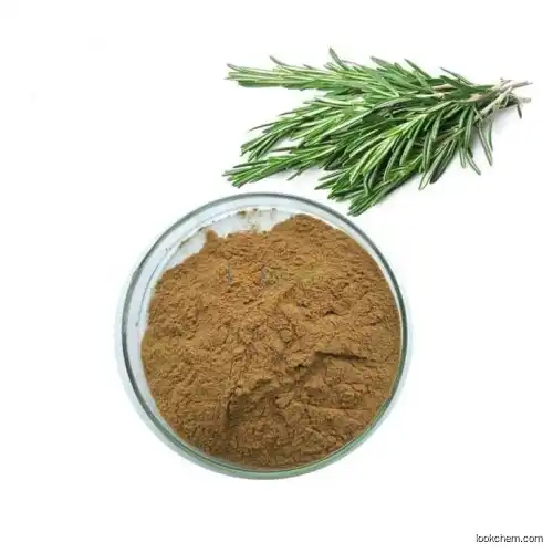 20% 30% rosmarinic acid rosemary extract Rosemary leaf Rosmarinus officinal Extract 20% rosmarinic acid and 30% carnosic acid