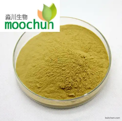 Echinacea Extrac Chicory Acid 2%4%