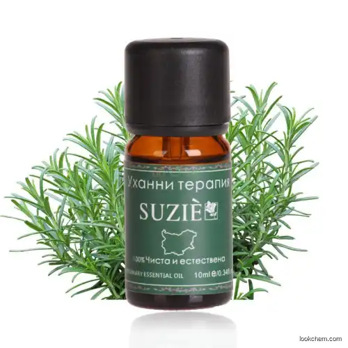 CAS: 3650-09-7 Carnosic acid with high quality rosemary oil