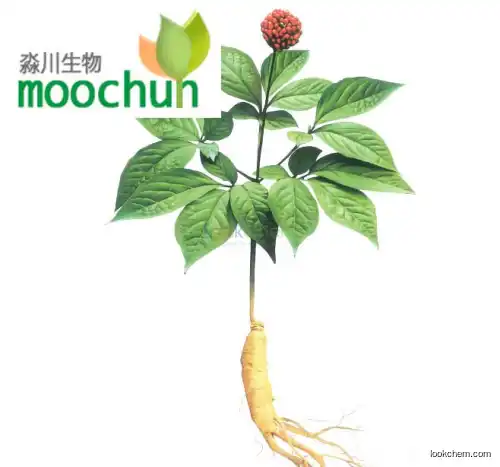 Ginseng Berry Extract