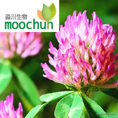 Red Clover Extract Powder/ isoflavone 8%