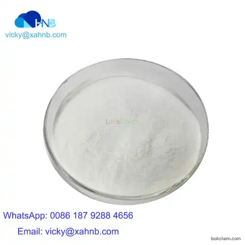 GMP 98% min Natamycin powder with factory price