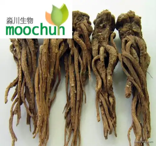 Pure Natural Chinese Angelica Extrat