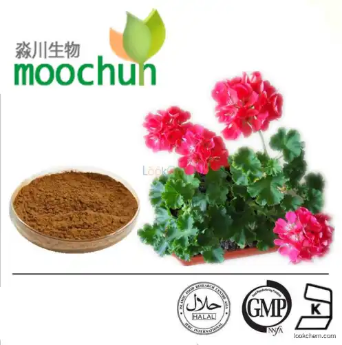 Geranium Flower Extract Powder