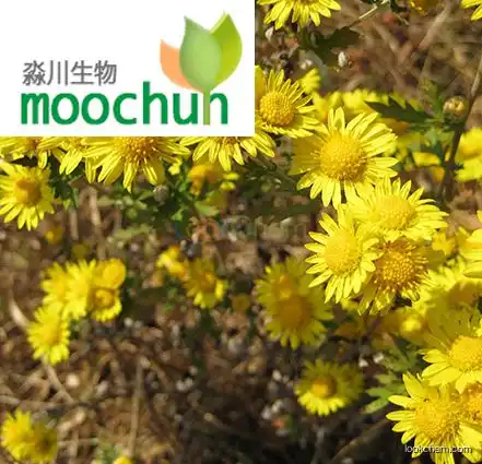 Chrysanthemum Flower Extract 89997-65-9