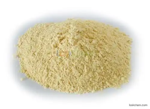 factory price ginseng extract powder