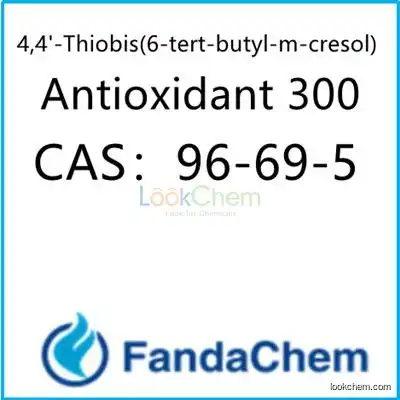 4,4'-Thiobis(6-tert-butyl-m-cresol) ;Antioxidant 300  CAS：96-69-5 from FandaChem
