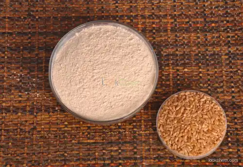 HACCP ISO manufacturer protein ≥85% vital wheat gluten
