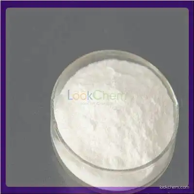 Low Price 99% Purity Nefiracetam Factory