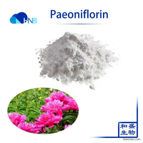 HNB Supply paeoniflorin 2% 10% 98% paeonia lactiflora extract radix paeoniae alba extract white peony root extract