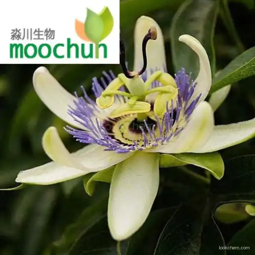 Passiflora Extract flavonoids 4%~40%