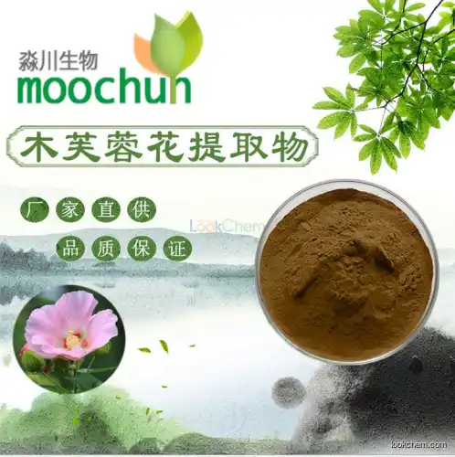 GMP certified manufacturer Hibiscus Abelmoschus Extract