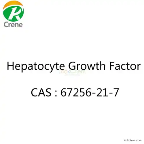 Hepatocyte Growth Factor 67256-21-7
