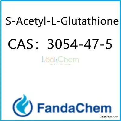 S-Acetyl-L-Glutathione (S-Acetylglutathion),CAS No:3054-47-5 from fandachem(3054-47-5)