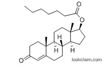 99% 99Testosterone enanthate,315-37-7