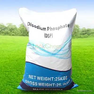 Big discount 99% CAS 7558-79-4 Sodium Phosphate  Dibasic with best quality