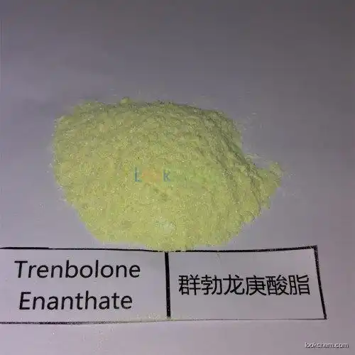 Hupharma Trenbolone Enanthate injectable steroids Powder