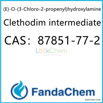 (E)-O-(3-Chloro-2-propenyl)hydroxylamine;Clethodim intermediate 99% CAS：87851-77-2 from fandachem