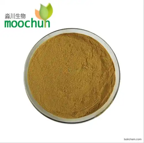 GMP factory Production White Willow Bark Powder