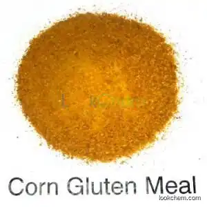 Corn Gluten Meal Feed Ingredients