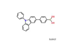 Boronic acid, B-[4-(9-phenyl-9H-carbazol-3-yl)phenyl]-  Carbazole derivatives  CAS NO.1240963-55-6
