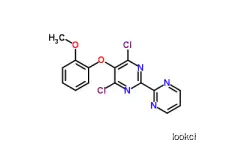4,6-Dichloro-5-(2-Methoxyphenoxy)-2,2-Bipyrimidine  Bosentan   CAS NO.150728-13-5