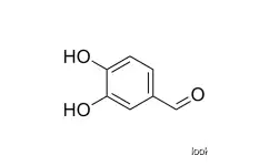 3,4-Dihydroxy benzaldehydeRoflumilast  CAS NO.139-85-5